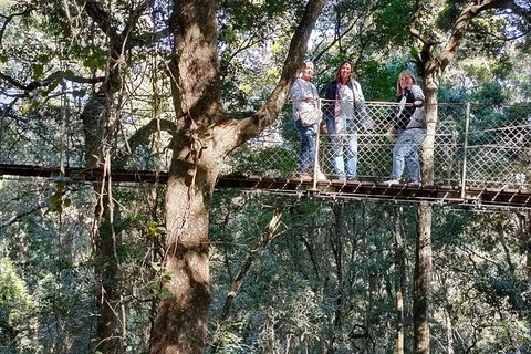 Lamington National Park, O'Reilly's & Vineyard Tour - Accommodation Port Hedland 2