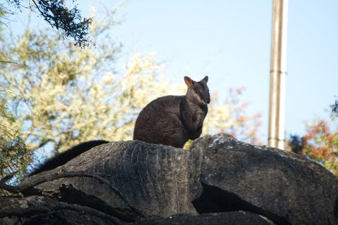 The Explorers' Discovery Tour - Gold, Wine & Wildlife - Accommodation Port Hedland 4