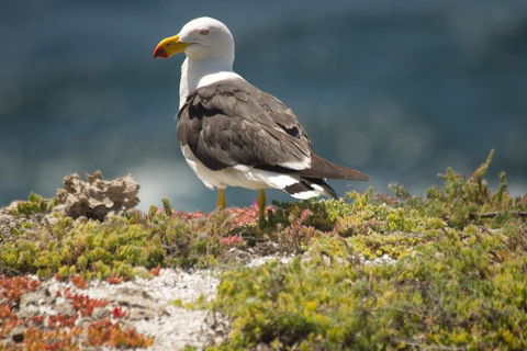 From The Mountains To The Bay - 4 Day Rediscovery Small Group Tour - Accommodation Port Hedland 1