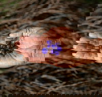 Cape Byron Aboriginal Tour - Accommodation Port Hedland