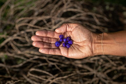 Cape Byron Aboriginal Tour - Accommodation Port Hedland 0