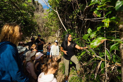 Cape Byron Aboriginal Tour - Accommodation Port Hedland 4