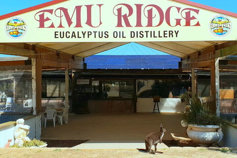 2-Day Kangaroo Island Safari From Adelaide - Accommodation Port Hedland 4