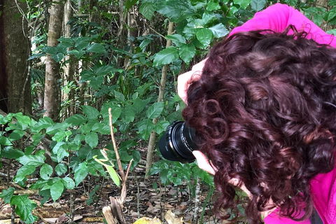 Let's Go Buggin & Let's Go Shroomin - Photography & Nature Walking Tours - Accommodation Port Hedland 1