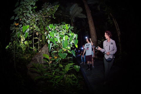 Let's Go Buggin & Let's Go Shroomin - Photography & Nature Walking Tours - Accommodation Port Hedland 4
