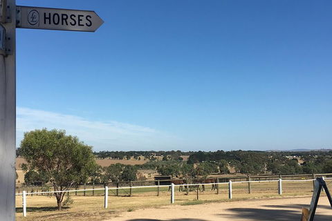 Legends & Champions Tour - Accommodation Port Hedland 5
