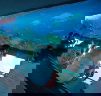 Great Barrier Reef Day Cruise to Reefworld - Accommodation Port Hedland