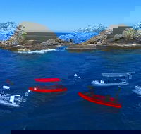 3-Hour Byron Bay Certified Scuba Diving Tour - Accommodation Port Hedland