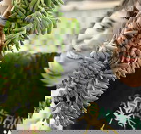 Small-Group Adelaide Central Market Early Breakfast Tour - Accommodation Port Hedland