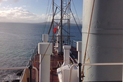 Albany's Whale Story - Accommodation Port Hedland 2