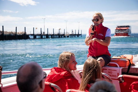 Adventure Rottnest Tour With Ferry & Adventure Cruise From Perth Or Fremantle - Accommodation Port Hedland 4