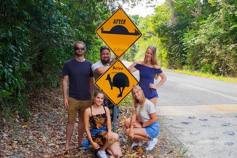Cape Tribulation, Daintree Rainforest And Wildlife Tour - Accommodation Port Hedland 0