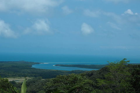 Cape Tribulation, Daintree Rainforest And Wildlife Tour - Accommodation Port Hedland 1