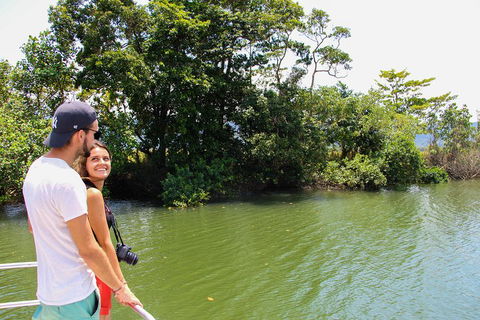 Cape Tribulation, Daintree Rainforest And Wildlife Tour - Accommodation Port Hedland 2