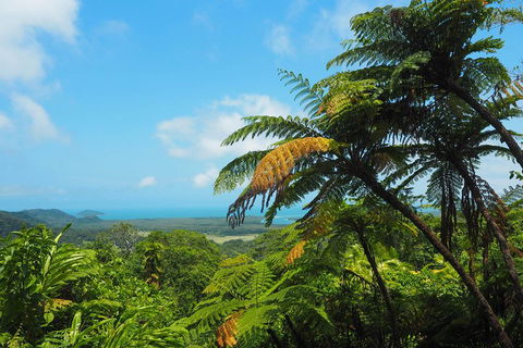 Cape Tribulation, Daintree Rainforest And Wildlife Tour - Accommodation Port Hedland 3
