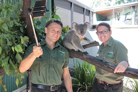 Virtual Interactive Australian Wildlife Tour With Private Guide-Wildlife Habitat - Accommodation Port Hedland 0