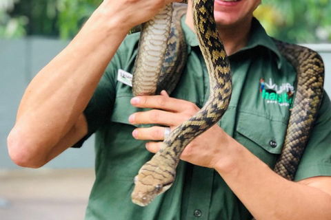 Virtual Interactive Australian Wildlife Tour With Private Guide-Wildlife Habitat - Accommodation Port Hedland 1