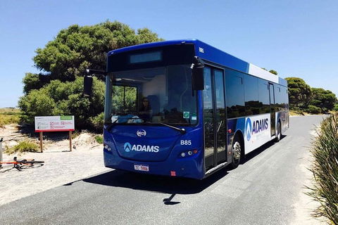 Rottnest Bayseeker Bus Tour From Hillarys Boat Harbour - Accommodation Port Hedland 0