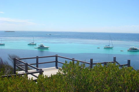 Rottnest Bayseeker Bus Tour From Hillarys Boat Harbour - Accommodation Port Hedland 3