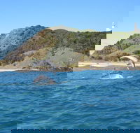 Kayaking with Dolphins in Byron Bay Guided Tour - Accommodation Port Hedland