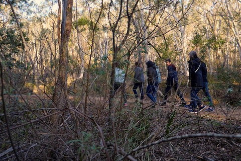 Wild Australian Wildlife 4WD Tour From Sydney - Accommodation Port Hedland 0