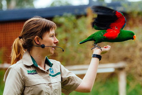 VIP Sanctuary Tour At Healesville Sanctuary Ticket - Accommodation Port Hedland 0