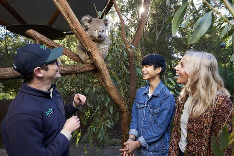 VIP Sanctuary Tour At Healesville Sanctuary Ticket - Accommodation Port Hedland 1