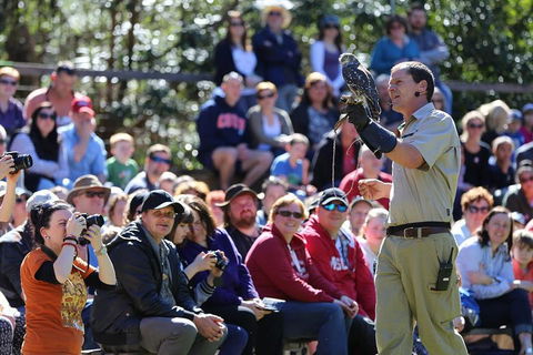 VIP Sanctuary Tour At Healesville Sanctuary Ticket - Accommodation Port Hedland 4