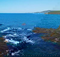 Julian Rocks Byron Bay Cruise - Accommodation Port Hedland