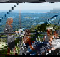 Sunshine Coast Hinterland Rainforest Views and Montville Day Tour Inc. Lunch - Accommodation Port Hedland