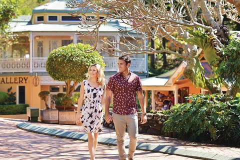 Sunshine Coast Hinterland Rainforest, Views And Montville Day Tour Inc. Lunch - Accommodation Port Hedland 4