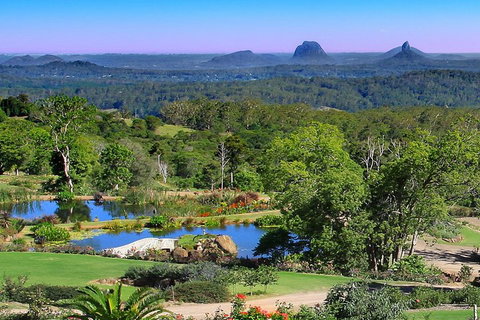 Sunshine Coast Hinterland Rainforest, Views And Montville Day Tour Inc. Lunch - Accommodation Port Hedland 5