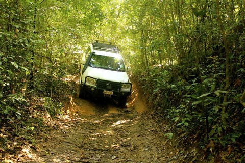 Barron Gorge And Kuranda National Park Half Day Rainforest And Waterfall 4WD Tour From Cairns - Accommodation Port Hedland 2