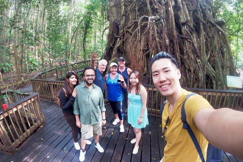 Barron Gorge And Kuranda National Park Half Day Rainforest And Waterfall 4WD Tour From Cairns - Accommodation Port Hedland 5