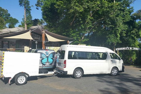 Airport Transfer To Or From Cairns Hotels For Up To 13 People - Accommodation Port Hedland 4