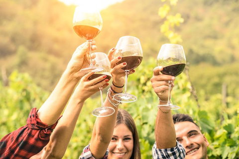 Adelaide Hills Day Tour. Winery Cellar Doors - Accommodation Port Hedland 0