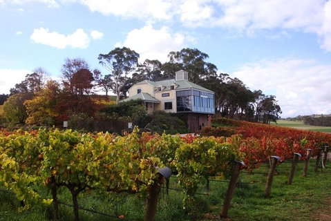 Adelaide Hills Day Tour. Winery Cellar Doors - Accommodation Port Hedland 4
