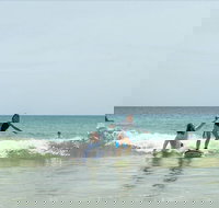 Private Beginners Surf Lessons Noosa World Surf Reserve - Accommodation Port Hedland