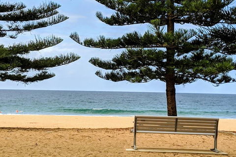 Manly & Sydney's Northern Beaches With 'Personalised Sydney Tours' - Accommodation Port Hedland 0