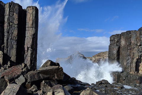 Erupting Blowholes And Ancient Rainforests With 'Personalised Sydney Tours' - Accommodation Port Hedland 0