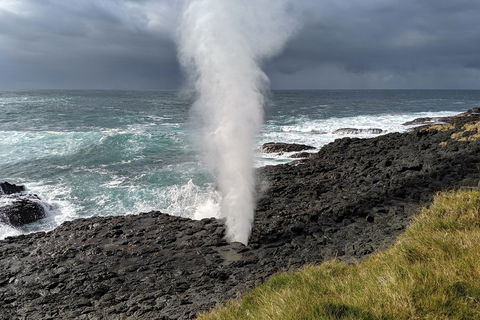 Erupting Blowholes And Ancient Rainforests With 'Personalised Sydney Tours' - Accommodation Port Hedland 1