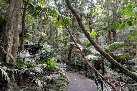 Erupting Blowholes And Ancient Rainforests With 'Personalised Sydney Tours' - Accommodation Port Hedland 2