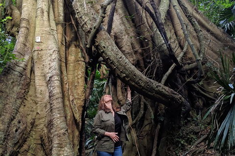 Erupting Blowholes And Ancient Rainforests With 'Personalised Sydney Tours' - Accommodation Port Hedland 4