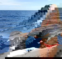 1/2 Day 5 Hour Offshore Fishing Charter - Accommodation Port Hedland