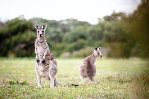 LGBT+ Friendly 3 Day Tour The Grampians, Daylesford & Ballarat - Accommodation Port Hedland 2