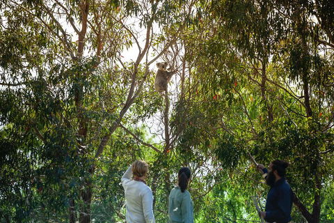 LGBT+ Friendly 3 Day Tour The Grampians, Daylesford & Ballarat - Accommodation Port Hedland 4