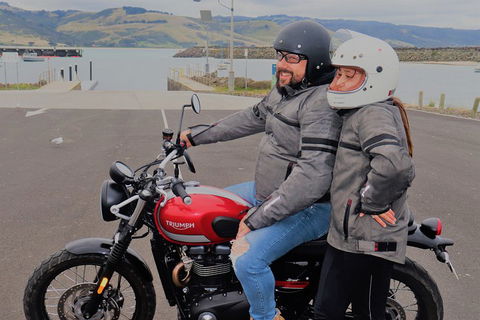 Triumph Street Scrambler 900cc - Accommodation Port Hedland 1