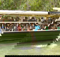 Hartley's Crocodile Adventure Half-Day Tour - Accommodation Port Hedland