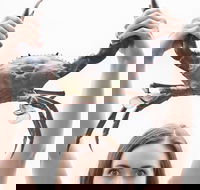 The Ultimate Gold Coast Attractions Pass - Accommodation Port Hedland