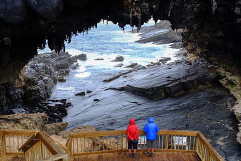 Full-Day Kangaroo Island Safari From Penneshaw - Accommodation Port Hedland 1
